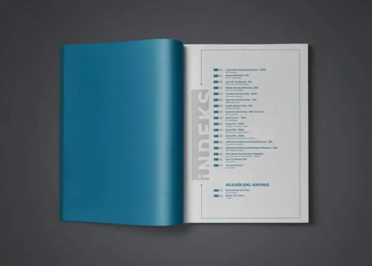 Alpha World Katalog Çalışması